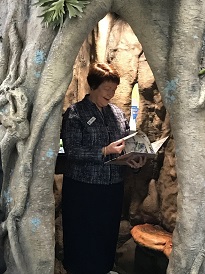 staff member reading archived document in heritage display carved like a tree setting